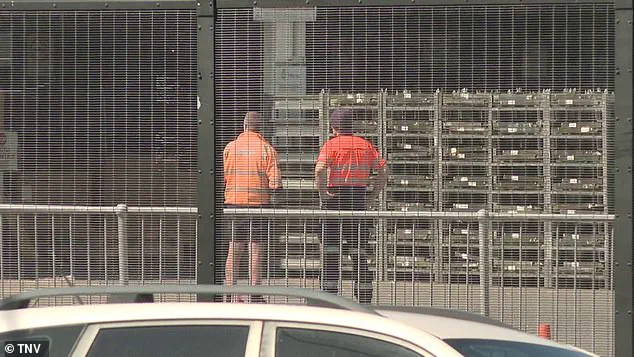 Tragic Accident at Sydney Airport Claims Life of Qantas Freight Handler, Investigation Launched