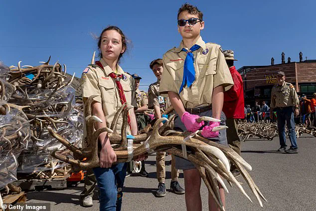 Pentagon's Overhaul of Boy Scouts Ties Sparks Debate Over Access to Information