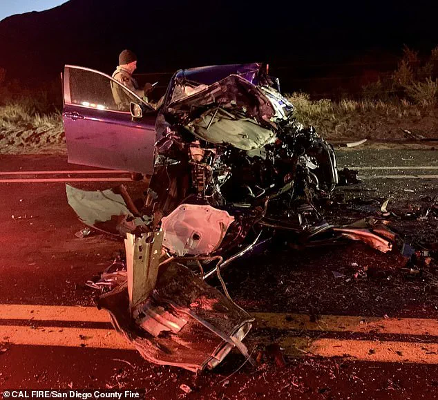 San Diego Family's Thanksgiving Turned Tragic After Collision