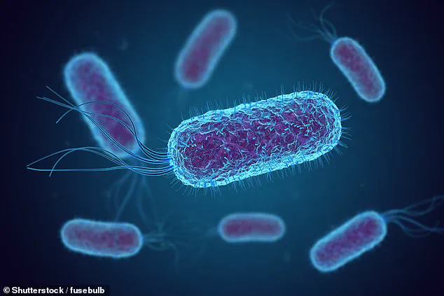 Study Reveals E. coli Contamination in Drinking Water on Major U.S. Airlines, Raising Health Concerns and Prompting Expert Advisories