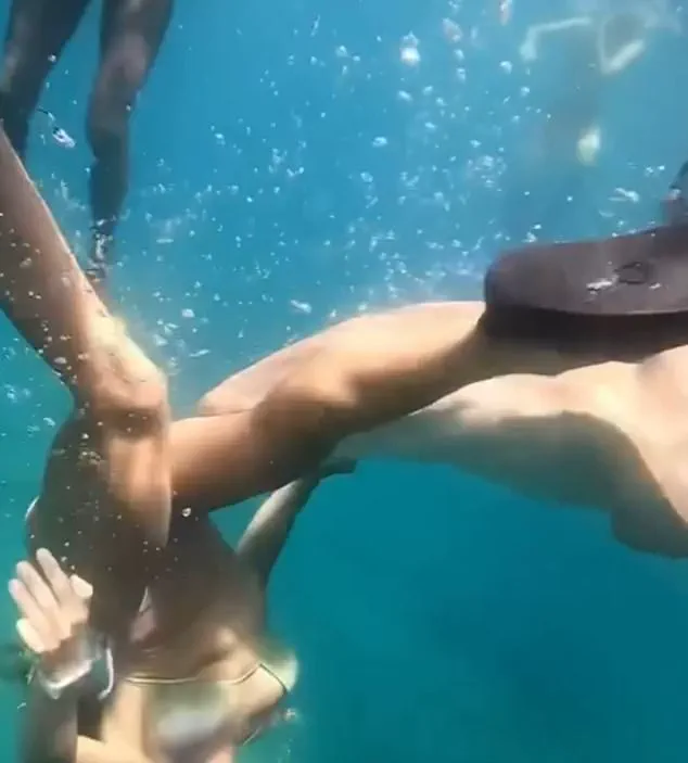 Exclusive Footage Reveals Rare Nurse Shark Encounter in UNESCO Waters