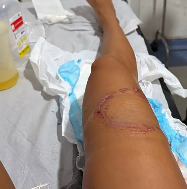 Exclusive Footage Reveals Rare Nurse Shark Encounter in UNESCO Waters