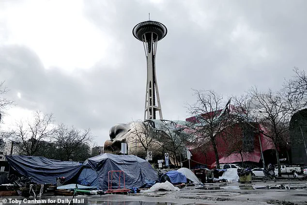 Seattle Mayor Katie B. Wilson Faces Controversy Over Photo with Far-Left Activist Advocating Arson