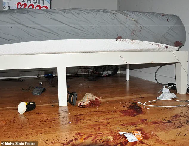 Breaking: Previously Unseen Crime Scene Photos of Idaho Murders Released, Then Quickly Taken Down