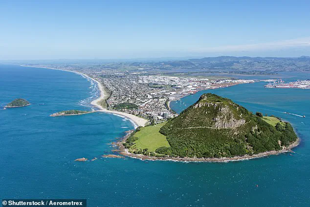 Government Teams Race to Locate Survivors After New Zealand Landslide Tragedy