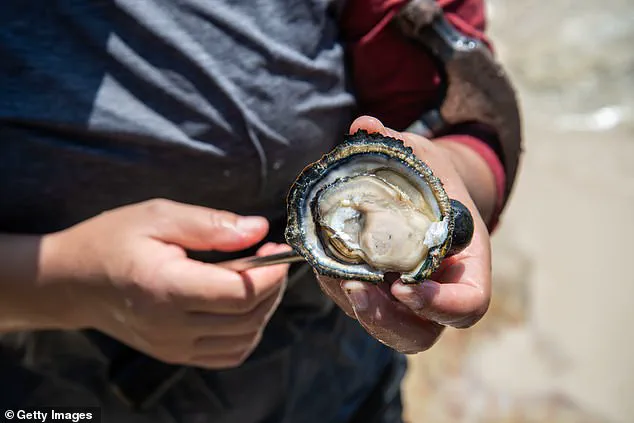 Historic Reclassification: Boston Harbor's Clean-Up Paves Way for Shellfish Consumption