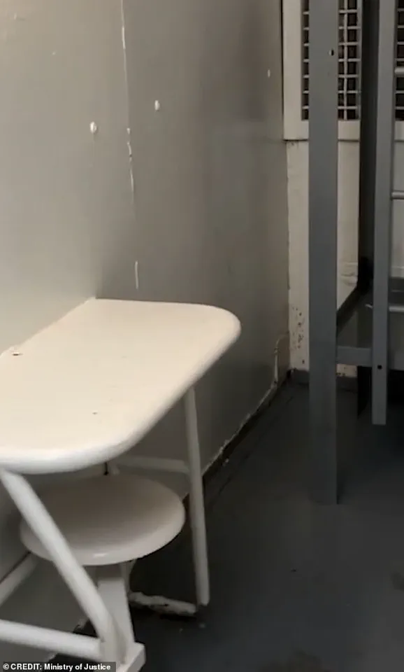 DOJ Investigates Epstein's Death as Footage Reveals 'Calm Routine' Amid Tragedy