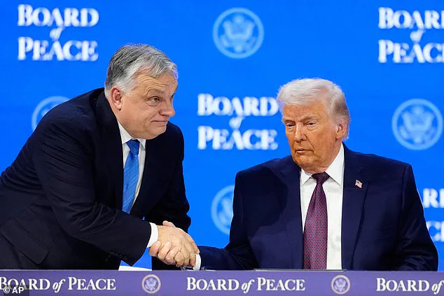 Trump's Peace Board to Address Gaza Reconstruction in February Summit