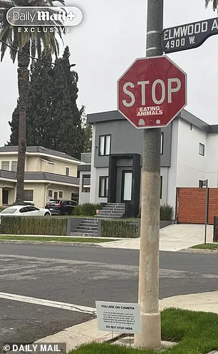 Historic Hollywood Enclave Overrun by Overt Sex Work Near Luxury Homes