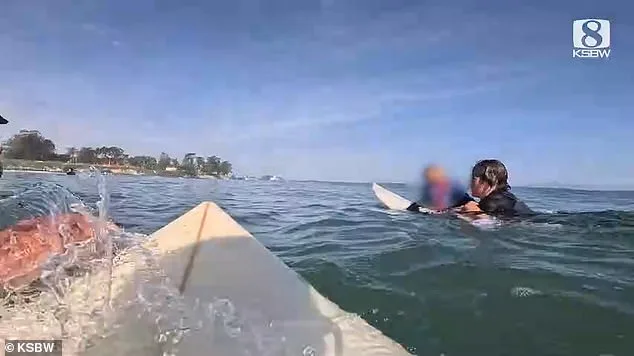 Surfers Save Family of Six After Speedboat Capsizes Off Santa Cruz Coast