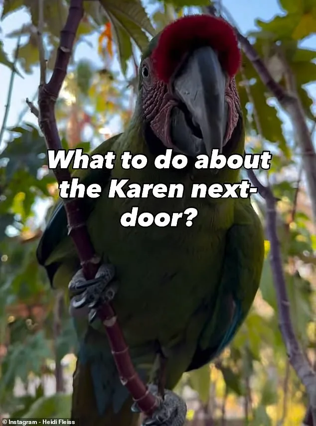 Dawn Screams from Heidi Fleiss's Macaws Spark Las Vegas Neighborhood Dispute