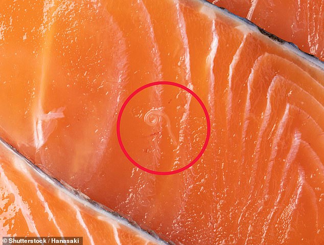 Salmon Industry Faces Parasite Risks as Demand Reaches £1.5 Billion