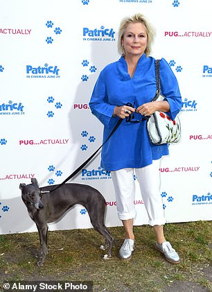 Whippet registrations surge 18% to secure 11th spot in UK breed rankings.