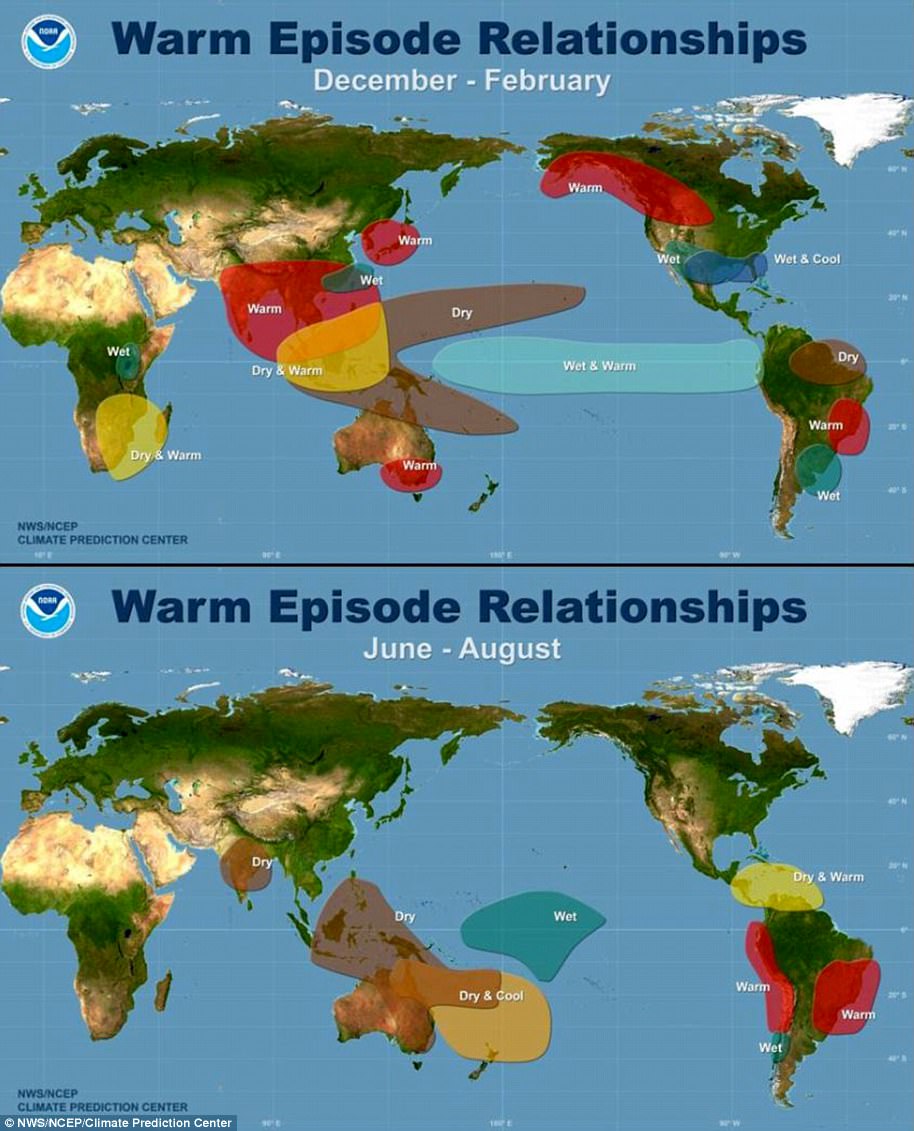 Scientists warn record heatwaves will continue for at least five years.